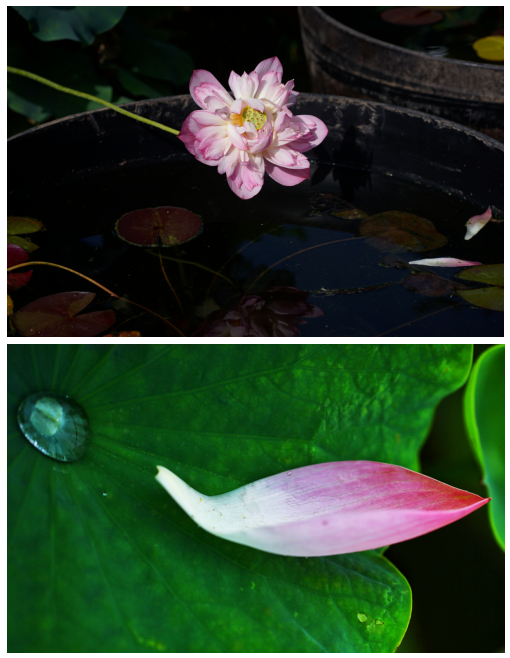 微信图片_20250209203428